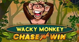 Wacky Monkey – Chase’N’Win
